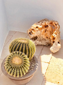 Itaca Home to Explorers