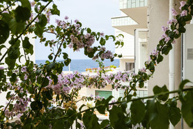 Lumi B&B