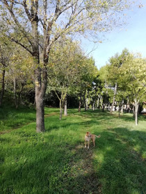 B&B Orizzonti