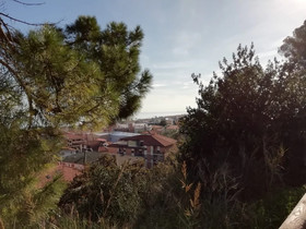 B&B Orizzonti