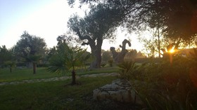Antica Ravenna Residence