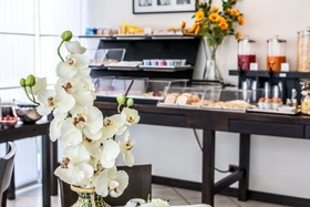 Hotel Mosaico