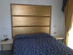 Ambassador