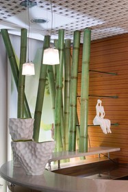 Club Meeting Hotel
