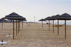 Hotel Amoha
