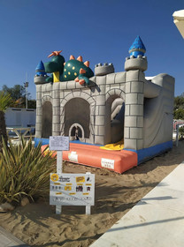 Hotel Naica