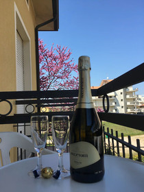 Hotel Villa Rinaldini