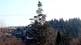 Mainstreet Hotel
