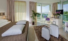 Mercure Rimini Artis