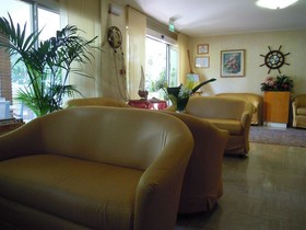 Solidea