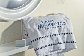 Montecarlo