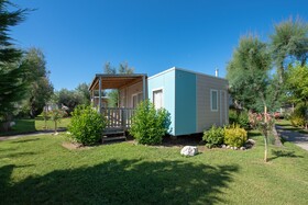 Club del Sole Stork Family Collection