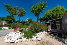 Club del Sole Stork Family Collection