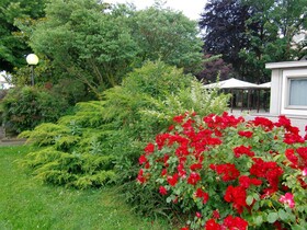 Best Western Park Hotel Continental