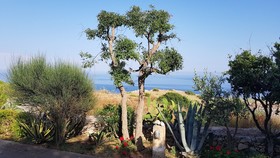 Villa Tina Ai Piedi Del Faro