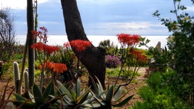 Villa Tina Ai Piedi Del Faro