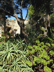 Villa Tina Ai Piedi Del Faro