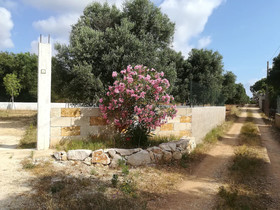 Trullo Alessandro E Villa Raffaela