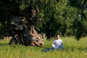Rocco Forte Masseria Torre Maizza
