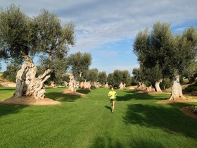 Rocco Forte Masseria Torre Maizza