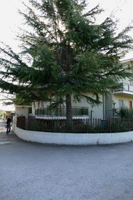 Villa Vanessa
