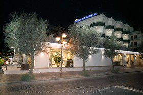 Hotel Metropol