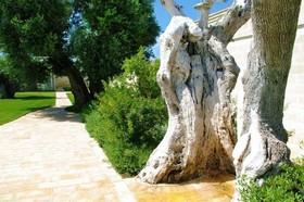 Masseria Torre del Diamante