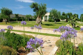 Masseria Torre del Diamante