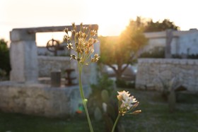 Borgo Sentinella