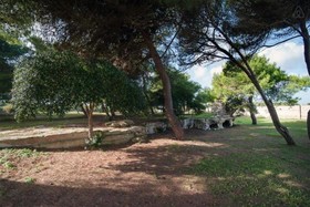 Oasis Park Hotel