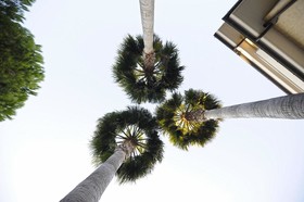 Tortorella Inn Family Resort