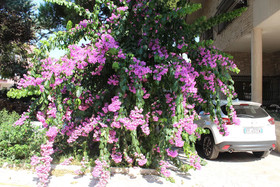 Villa Wanda Bed & Breakfast