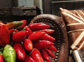 Forvm Luxury Experience - Dependance