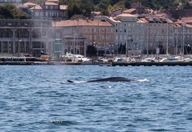 Mary Poppins's House