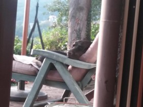 Mary Poppins's House