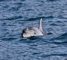 Mary Poppins's House