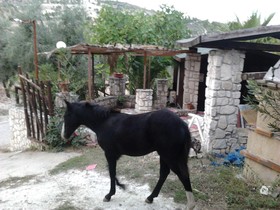 Agri-Costella Country Hotel Vieste