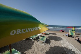 Le Orchidee