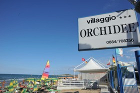 Le Orchidee