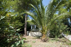 Villaggio Camping Spiaggia Lunga