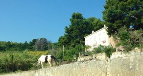 Valle della Corte