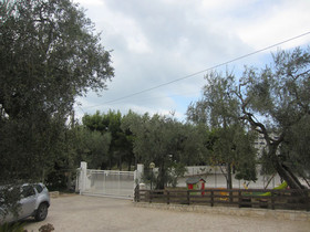 Villa Elisa