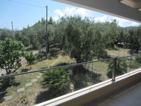 Villa Elisa