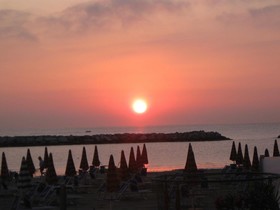 Stella d'Oro