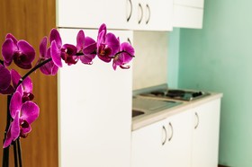 Residence Cima