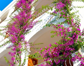 Villa Romana Hotel & Spa