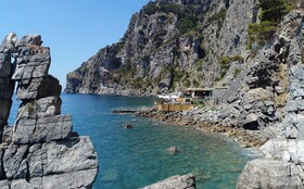 Le Agavi