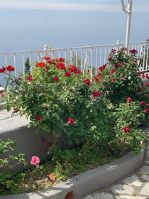 Casa Reverie
