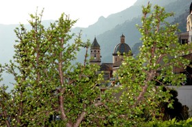Hotel Il Pino