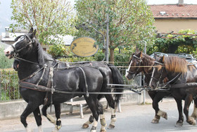 La Maison Des Vignerons